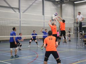 UA190323volleybaltoernooi12.JPG